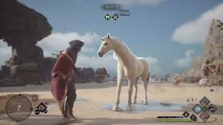 How to take care of Fantastic Beasts Brush Feed Breed Vivarium Routine Hogwarts 