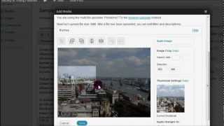 Primary Image CMS - Adding Posts
