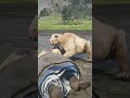 Insane RDR2 Lion Attack 😱 Girl Gets Ambushed in Brutal Wild Scene! #shorts #gaming #viral