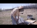 Occupational  beekeeper