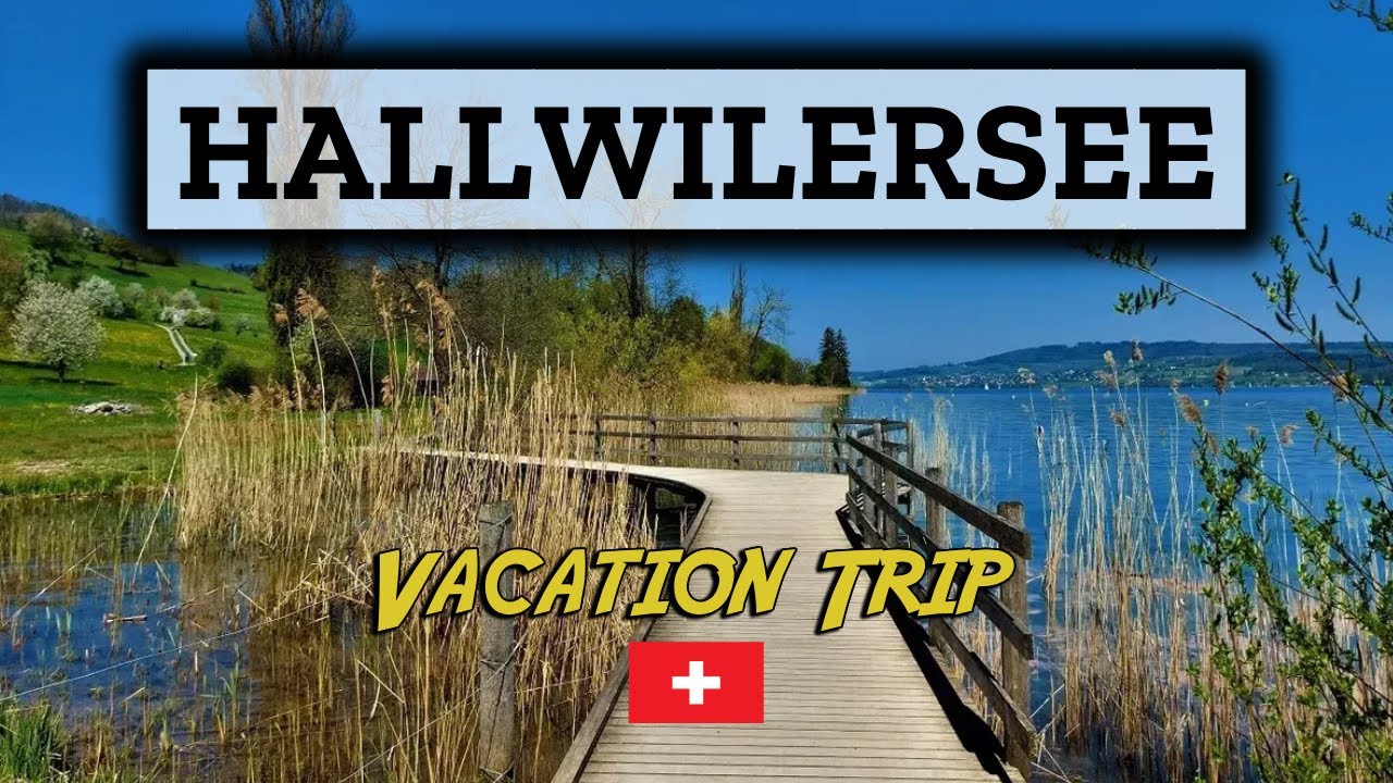 Hallwilersee Seeuferweg - Ein Ausflug durch die idyllische Natur | Wandern Schweiz | 4K