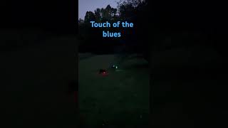 Dare I say my favorite light show is being entertained by the dogs running around? #pupcation