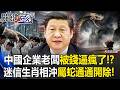 龍頭中企「和老闆生肖相沖」就裁員！？ 中國「妖事不斷」說鬼故事防皇上殺頭！？【關鍵時刻】20260824-4 張炤和