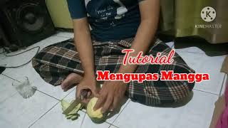 Tutorial Mengupas Mangga