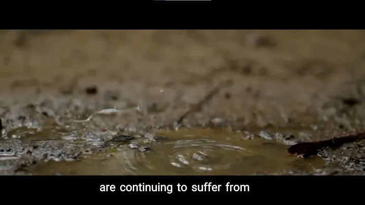 SDG 6: Clean and Water Sanitation (A Project Documentary)