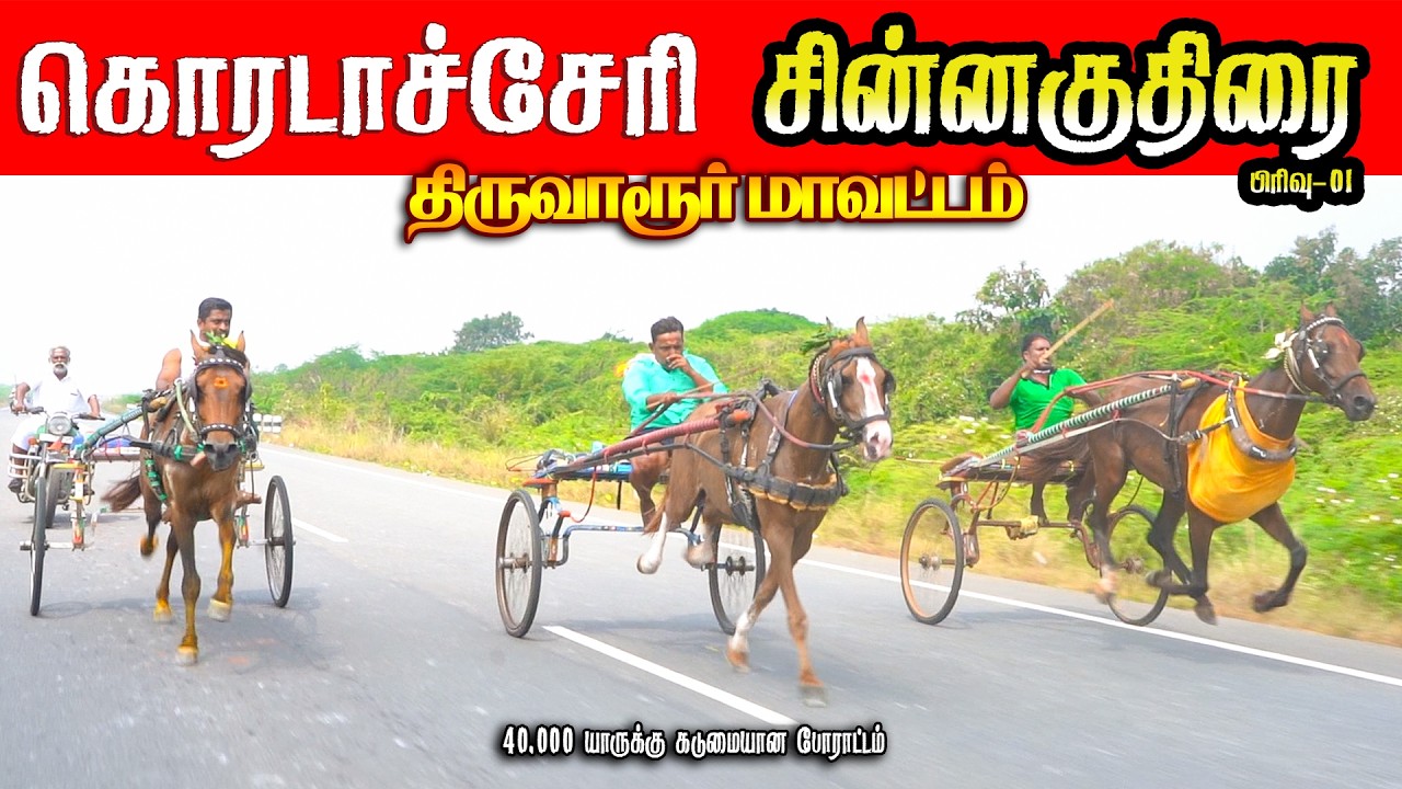 கொரடாச்சேரி  சின்னகுதிரை_01 15/02/2026