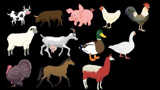 Farm Animals - @Thekidspictureshow (New 2024)