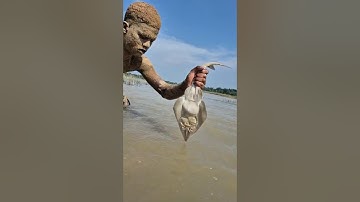 Unbelievable technique fishing in river by sandman #fishing #fish #video