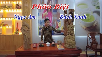Gỗ Bách Xanh , Gỗ Ngọc Am Gỗ Nào Thơm Hơn - ĐỒ GỖ VĂN SÁU
