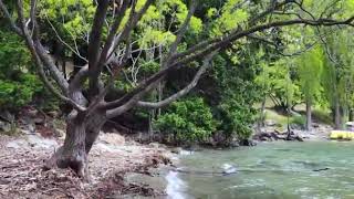 Doğa Manzara Video-Klip