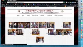 Creating a gallery using NextGEN Gallery on Avada Theme