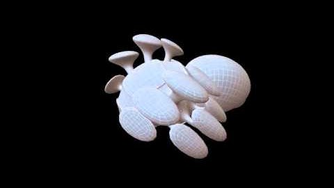 Entoforms Generation 0008