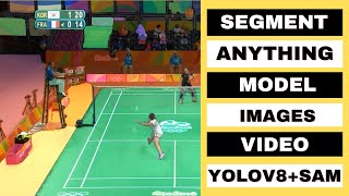 Segment Images & Videos in Python using Segment Anything Model (SAM) | YOLOv5 | YOLOv8 and SAM