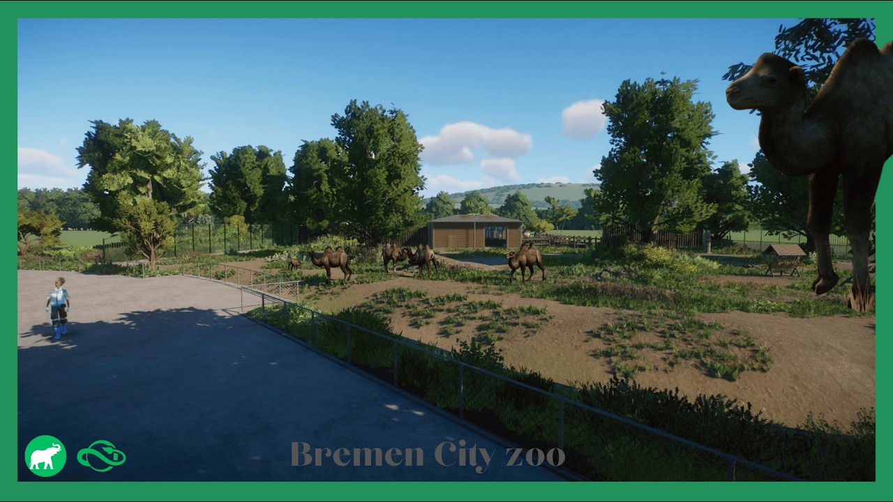 Building an beautiful Bactrian Camel Habitat in the Bremen City zoo
