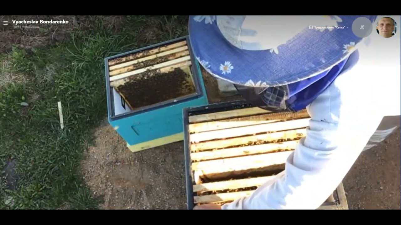 ВЫХОД НА 2е КОРПУСА ОТСТРОЙКА ВОЩИНЫ