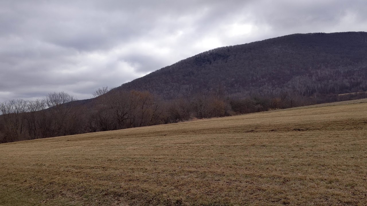 Colonial Alpaca Farm backyard - YouTube