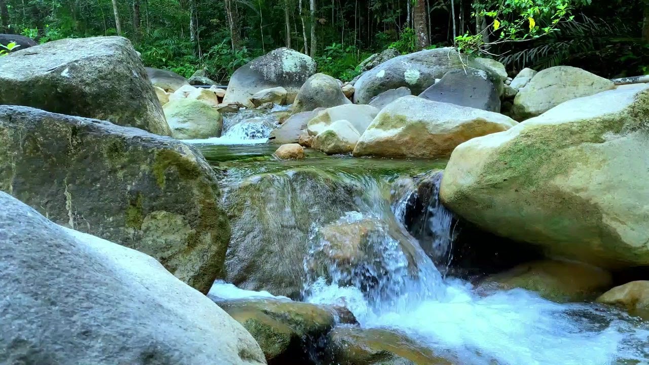 Gentle River Sounds for Mental Relaxation