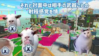 これがスプラトゥーンの現実です【#猫ミーム 】