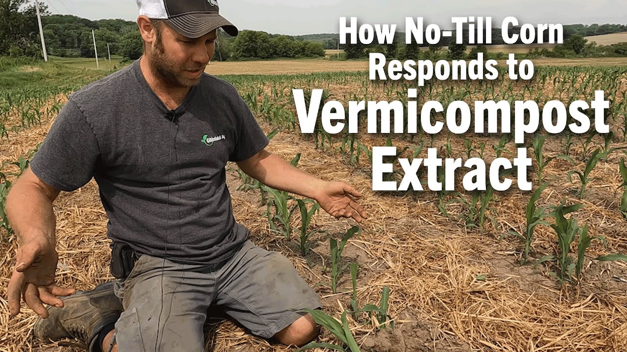 How No-Till Corn Responds to Vermicompost Extract