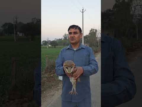 खोल दे पंख अपने फिर सारा आसमान तेरा है ///स्नेकमैन हरियाणा सतीश फफड़ाना 9255130130