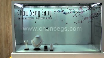 Transparent LCD showcase display In India