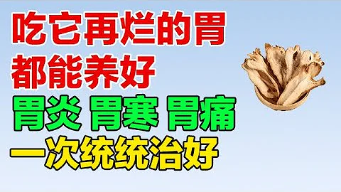 宫廷最常用的一道食材 再烂的胃都能养好 胃炎、胃寒、胃痛 一次统统治好【健康养生堂】 - 天天要闻