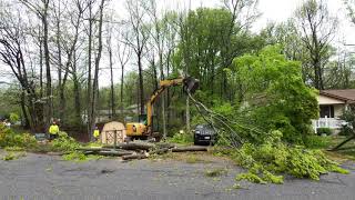 Time Lapse - Fallen Tree Clean Up!