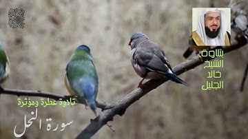 سورة النحل قرائة مميزة للشيخ خالد الجليل