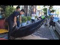 台中梧棲第一鮪 - 尚介鮮黑鮪魚切割秀BLUEFIN TUNA CUTTING SHOW & SASHIMI MEAL