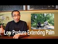 Basic practice teaching series 26 low posture extending palm of ba gua