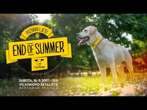 Dogs Trust End of Summer Event - Pozdrav ljetu psicosis pelicula