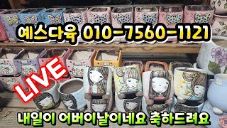 💥[LIVE] 예스다육 010-7560-1121(카드결제가능) 내일 어버이날을 미리 축하드립니다~♡