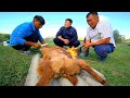 Mongolian BBQ "Boodog" - CRAZY Nomadic Food in Mongolia | SUPER RARE Mongolian Food!!