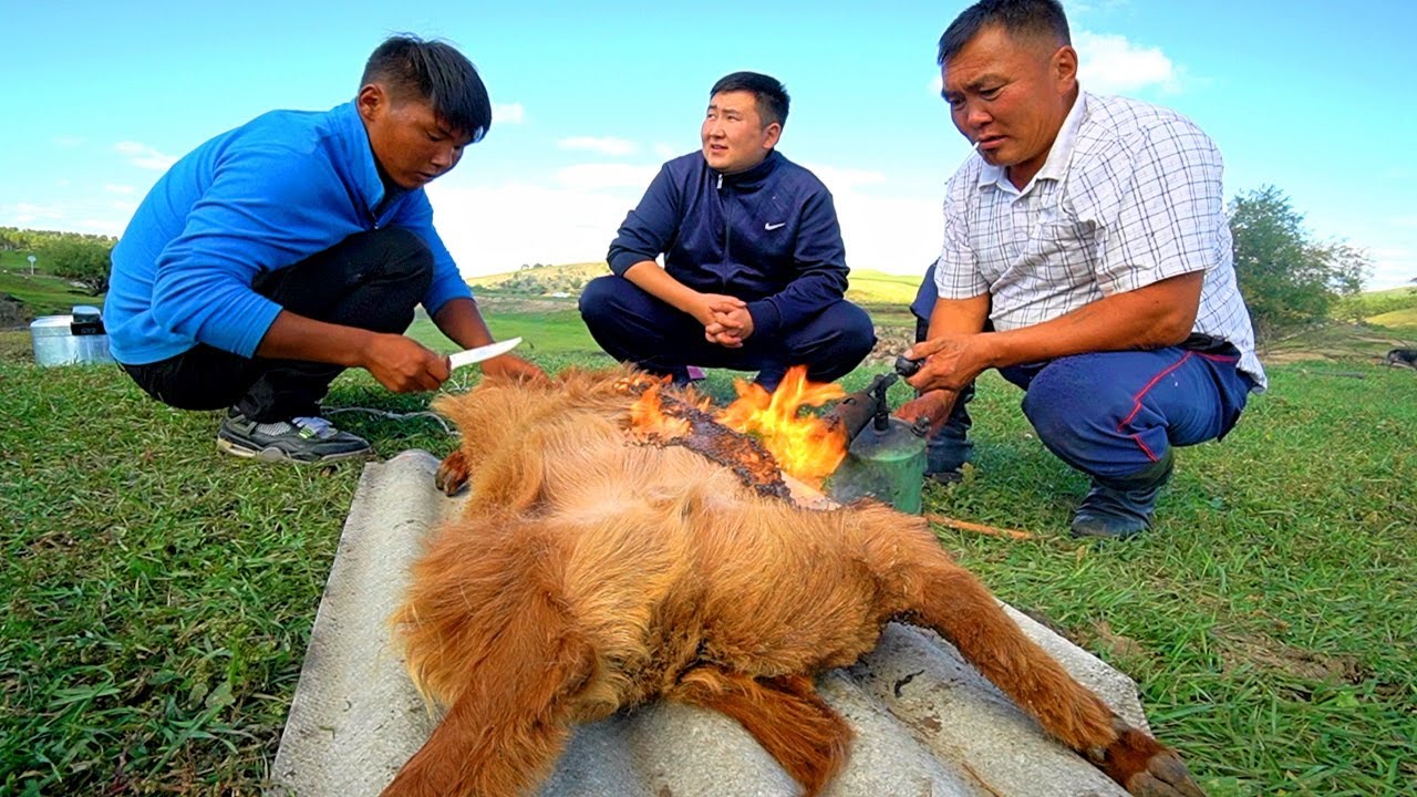 Mongolian BBQ Boodog CRAZY Nomadic Food In Mongolia SUPER RARE Mongolian BBQ Boodog CRAZY Nomadic Food In Mongolia SUPER RARE