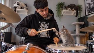 He Rescued These Cats — Now They Won’t Let Him Play Alone