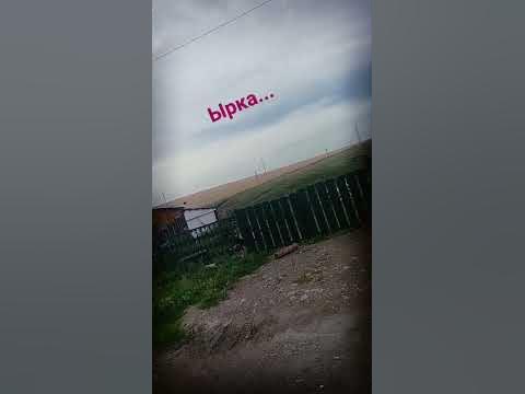 ырка. #мем #ырка #пжврекомендации - YouTube