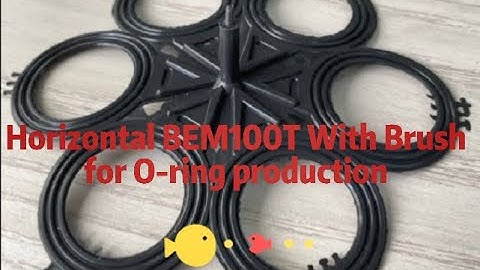 Horizontal BEM100T with brush for O Ring production