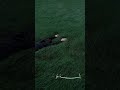 قال ربي إني ظلمت نفسي فاغفر لي تلاوة خاشعة للشيخ غيث سمرين سورة القصص قال ربي إني ظلمت نفسي فاغفر لي تلاوة خاشعة للشيخ غيث سمرين سورة القصص