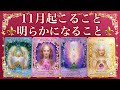 11月⚜️明らかになること💥