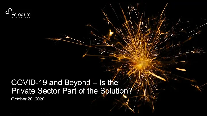 COVID-19 and Beyond – Is the Private Sector Part of the Solution?