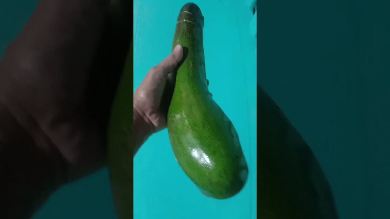 Satisfying Big Avocado