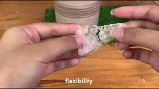 RICE AS BIOPLASTIC (Group 9 Product)