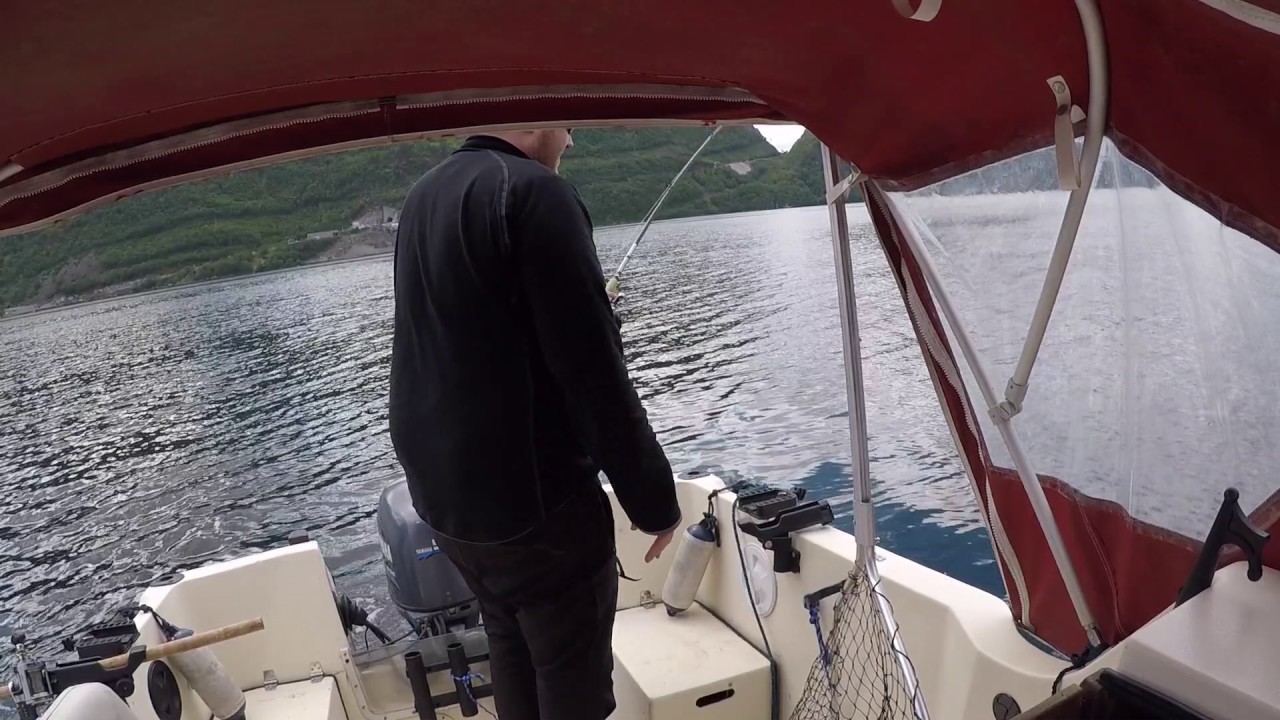 laks-p-dorging-dirdal-h-gsfjorden-4-6kg-2017-youtube