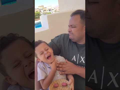 الاكل وقف في زور يوسف