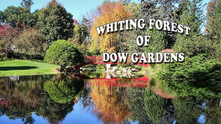 Exploring Whiting Forest of Dow Gardens