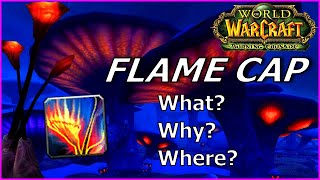 This Consumable is OP! What it is, where to get it and why you should use it in TBC!