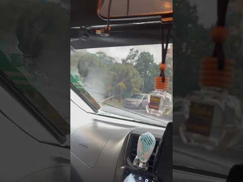 DASHARK Retractable Tinted 