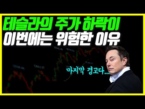 테슬라의 주가하락이 이번에는 위험할 수도 있는 이유(ft. 머스크의 최후통첩)