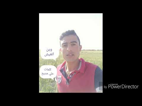 الشاعر علي مديح 