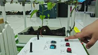 Group8- Smart Irrigation System for Chili Plants Using LoRa and ThingSpeak for Long-Range Monitoring